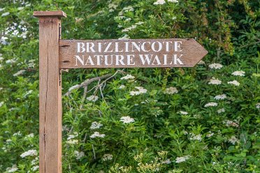 Brizlincote Nature Walk - David Cowper Brizlincote Nature Walk: © David Cowper 2021
