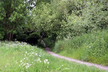 JF_these steps 4 2nd June 2022: Rugeley Town: Bloody Steps: © Jenny France: