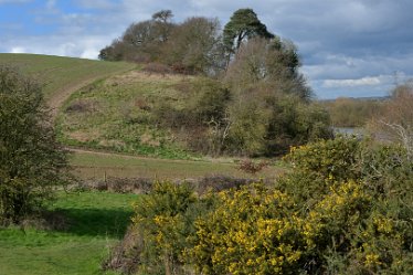 MR_DSG_1410_402 Swarkstone Causeway, Ingleby - Anchor Church Circular walk: 6th March: © 2022 Martin Robinson