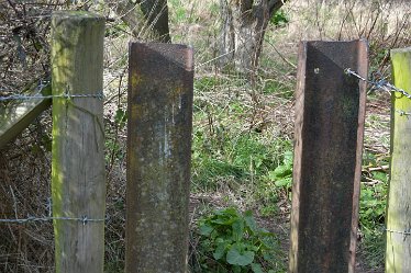 MR_DSG_1412_403 Swarkstone Causeway, Ingleby - Anchor Church Circular walk: 6th March: © 2022 Martin Robinson