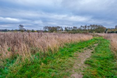 F21_8055r1 23rd November 2021: A walk through Tucklesholme Nature Reserve towards Branston: © 2020-2021 by Paul L.G. Morris.
