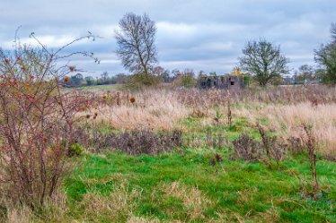 F21_8064r1 23rd November 2021: A walk through Tucklesholme Nature Reserve towards Branston: © 2020-2021 by Paul L.G. Morris.