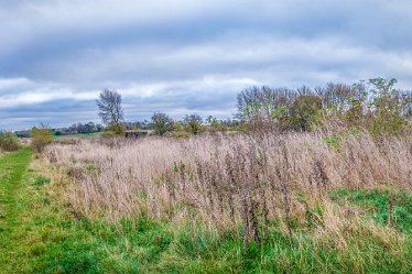 F21_8073r1x6j1 23rd November 2021: A walk through Tucklesholme Nature Reserve towards Branston: © 2020-2021 by Paul L.G. Morris: A panoramic view