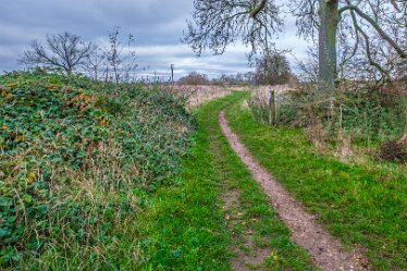F21_8097r1 23rd November 2021: A walk through Tucklesholme Nature Reserve towards Branston: © 2020-2021 by Paul L.G. Morris.