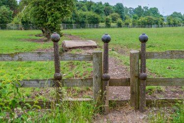 MR_DSF_1066 20th June 2021: © 2021 Martin Robinson: Doveridge to Uttoxeter circular walk