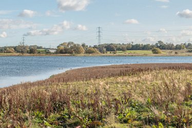 L20_8776r1x6j1 22nd October 2020: Tucklesholme Tour 1: © 2020-2021 Paul L.G. Morris: Panoramic view from the 2nd hide