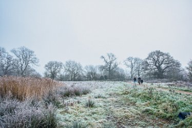 Steve_C_DSC_9859j1 Winter At Tuckelsholme Nature Reserve: January 2021: © Steven Cheshire