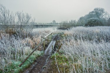 Steve_C_DSC_9867j1 Winter At Tuckelsholme Nature Reserve: January 2021: © Steven Cheshire