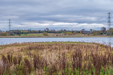 November walk through Tucklesholme Nature Reserve Tucklesholme Nature Reserve November walk towards Branston, stopping at the Pillbox then returning. © 2020-2021 by Paul...