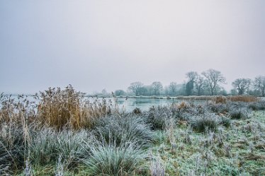 Steve_C_DSC_9855j1 Winter At Tuckelsholme Nature Reserve: January 2021: © Steven Cheshire