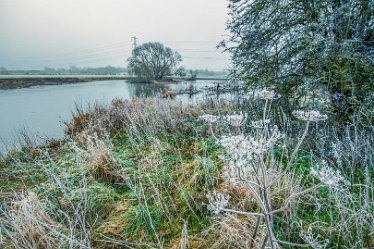 Steve_C_DSC_9875j1 Winter At Tuckelsholme Nature Reserve: January 2021: © Steven Cheshire