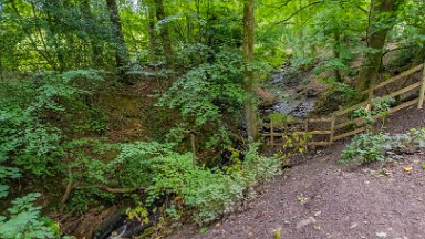 Biddulph-Grange-CP-PLGM-F24_6258r1 5th July 2024: Biddulph Grange Country Park: © 2024 Paul L.G. Morris: The stream