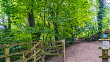 Biddulph-Grange-CP-PLGM-F24_6261r1 5th July 2024: Biddulph Grange Country Park: © 2024 Paul L.G. Morris