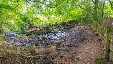 Biddulph-Grange-CP-PLGM-F24_6282r1 5th July 2024: Biddulph Grange Country Park: © 2024 Paul L.G. Morris: The stream