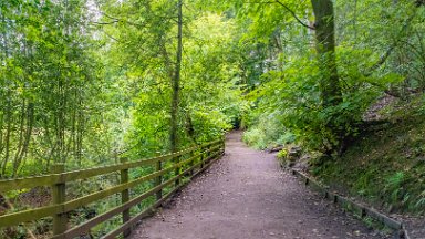 Biddulph-Grange-CP-PLGM-F24_6285r1 5th July 2024: Biddulph Grange Country Park: © 2024 Paul L.G. Morris: Path following the stream