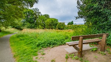 Cecilly-Brook-NR-PLGM-F24_9306r1 5th August 2024: Cecilly Brook Nature Reserve: View from the seat looking back from the way we came. The brook is on the right in the vegetation: © 2024 Paul...