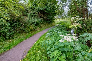 5th August 2024: Cecilly Brook Nature Reserve 5th August 2024: Cecilly Brook Nature Reserve: © 2024 Paul L.G. Morris