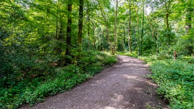 Hem-Heath-NR-PLGM-F24_8451r1 30th July 2024: Hem Heath Nature Reserve: © 2024 Paul L.G. Morris