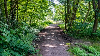 Hem-Heath-NR-PLGM-F24_8529r1 30th July 2024: Hem Heath Nature Reserve: © 2024 Paul L.G. Morris