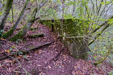 Park-Hall-CP-PLGM-H25_8806r1 6th October 2025: Park Hall Country Park: © 2025 Paul L.G. Morris: