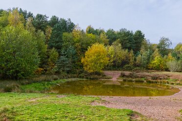 Park Hall C.P. October 2025 Visit 2 30th October 2025: Park Hall Country Park: © 2025 Paul L.G. Morris