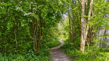 F25_1068 16th May 2025: Parrots Drumble Nature Reserve: © 2025 Paul L.G. Morris: Path from the entrance past industrial units on the right and farmland on the left