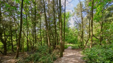 F25_1074 16th May 2025: Parrots Drumble Nature Reserve: © 2025 Paul L.G. Morris: Path from the entrance past industrial units on the right and farmland on the left