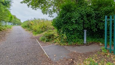 Staffs-Uni-NR-PLGM-F24_9747r1-1 15th August 2024: Staffordshire University Nature Reserve: A second entrance near the first one: © 2024 Paul L.G. Morris