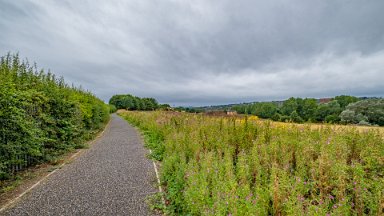 Staffs-Uni-NR-PLGM-F24_9753r1-1 15th August 2024: Staffordshire University Nature Reserve: Footpath at the eastern side leading to Lordship Lane: © 2024 Paul L.G. Morris