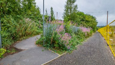 Staffs-Uni-NR-PLGM-F24_9759r1x2j1-1 15th August 2024: Staffordshire University Nature Reserve: Footpath at the eastern side leading to Lordship Lane: Path to St. Peter's Academy: © 2024 Paul L.G....