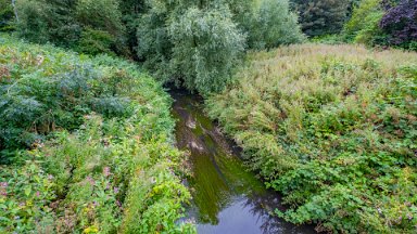 Staffs-Uni-NR-PLGM-F24_9792r1-1 15th August 2024: Staffordshire University Nature Reserve: View from the southern side footbridge: © 2024 Paul L.G. Morris