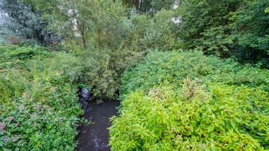 Staffs-Uni-NR-PLGM-F24_9795r1-1 15th August 2024: Staffordshire University Nature Reserve: View from the southern side footbridge: © 2024 Paul L.G. Morris