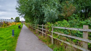 Staffs-Uni-NR-PLGM-F24_9804r1-1 15th August 2024: Staffordshire University Nature Reserve: Path heading north on the western side of the river: © 2024 Paul L.G. Morris