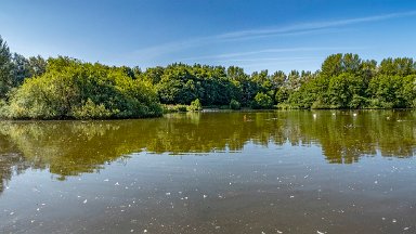 Westport-lake-PLGM-F24_8083r1x4j1 29th July 2024: Westport Lake Nature Reserve: © 2024 Paul L.G. Morris: Panorama of the smaller lake to the south