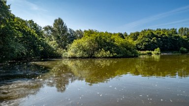 Westport-lake-PLGM-F24_8092r1 29th July 2024: Westport Lake Nature Reserve: © 2024 Paul L.G. Morris: The smaller lake to the south