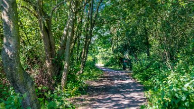 Westport-lake-PLGM-F24_8110r1 29th July 2024: Westport Lake Nature Reserve: © 2024 Paul L.G. Morris: The path around the smaller lake to the south