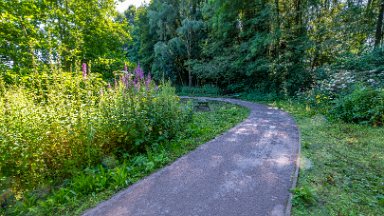 Westport-lake-PLGM-F24_8134r1 29th July 2024: Westport Lake Nature Reserve: © 2024 Paul L.G. Morris: The path around the smaller lake to the south