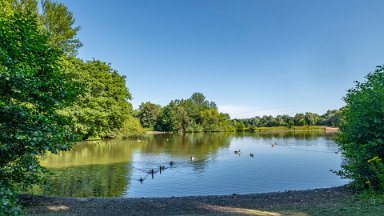 Westport-lake-PLGM-F24_8143r1 29th July 2024: Westport Lake Nature Reserve: © 2024 Paul L.G. Morris: The smaller lake to the south