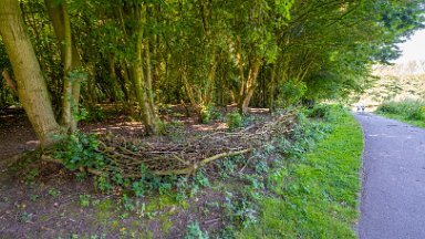 Westport-lake-PLGM-F24_8164r1 29th July 2024: Westport Lake Nature Reserve: © 2024 Paul L.G. Morris: The path around the smaller lake to the south