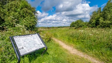 Wetley-Moor-NR-PLGM-F24_6674r1 8th July 2024: Wetley Moor Nature Reserve: © 2024 Paul L.G. Morris: Entrance from the car park