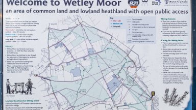 Wetley-Moor-NR-PLGM-F24_6677r1 8th July 2024: Wetley Moor Nature Reserve: Information board