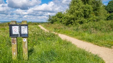 Wetley-Moor-NR-PLGM-F24_6680r1 8th July 2024: Wetley Moor Nature Reserve: © 2024 Paul L.G. Morris: Start of this walk