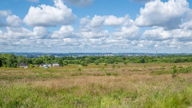 Wetley-Moor-NR-PLGM-F24_6701r1 8th July 2024: Wetley Moor Nature Reserve: © 2024 Paul L.G. Morris: View across Stoke