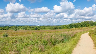 Wetley-Moor-NR-PLGM-F24_6716r1x4j1 8th July 2024: Wetley Moor Nature Reserve: © 2024 Paul L.G. Morris: Panoramic view within the reserve