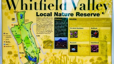 Whitfield-Valley-NR-PLGM-F24_4674r1 21st May 2024: Whitfield Valley Nature Reserve: Information board: © 2024 Paul L.G. Morris