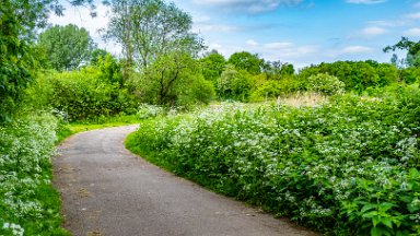 Whitfield-Valley-NR-PLGM-F24_4677r1 21st May 2024: Whitfield Valley Nature Reserve: © 2024 Paul L.G. Morris