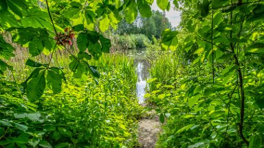 Whitfield-Valley-NR-PLGM-F24_4773r1 21st May 2024: Whitfield Valley Nature Reserve: © 2024 Paul L.G. Morris