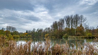 whitfield-valley-and-chatterley-PLGM-F24_12036r1 11th November 2024: Whitfield Valley Nature Reserve: © 2024 Paul L.G. Morris: Ford Green Lake