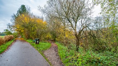 whitfield-valley-and-chatterley-PLGM-F24_12060r1 11th November 2024: Whitfield Valley Nature Reserve: © 2024 Paul L.G. Morris: The path diverges - we continue on the main path north