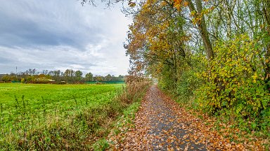 whitfield-valley-and-chatterley-PLGM-F24_12063r1x2j1 11th November 2024: Whitfield Valley Nature Reserve: © 2024 Paul L.G. Morris: Panoramic view heading north